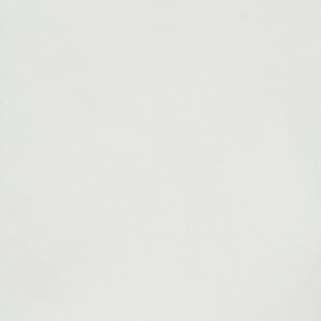 Beatnik Ankle | Ivory | High Rise | Skinny Jean