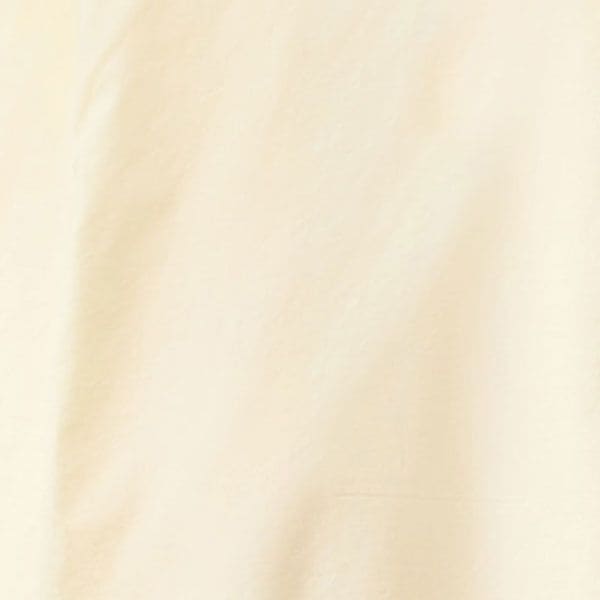 Ella Chino | Paradise | Pant